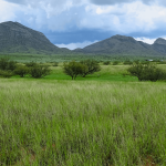 Grasslands and green hills of Rain Valley Ranch, a historic cattle ranch in Arizona.